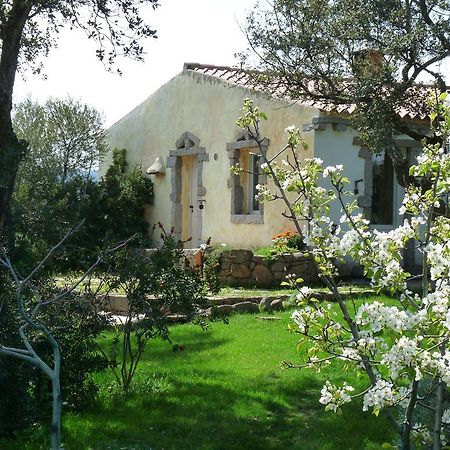 La Scala Guesthouse Berchiddeddu Bagian luar foto