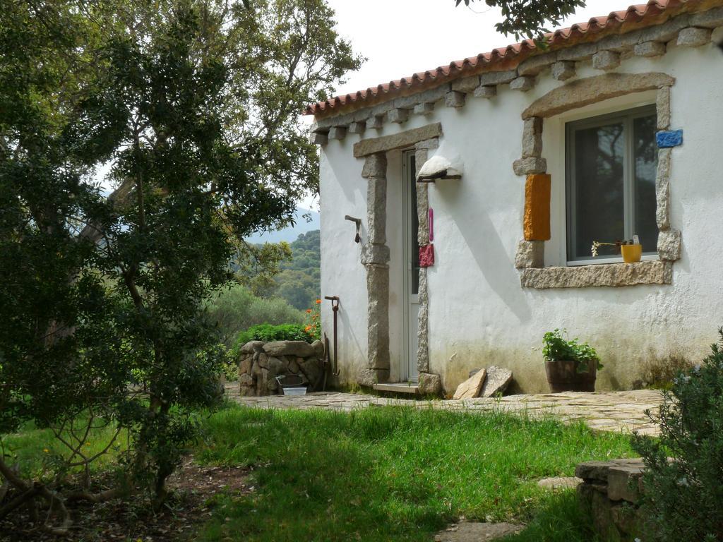 La Scala Guesthouse Berchiddeddu Bagian luar foto